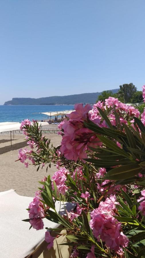 Ugur Beach Hotel 凯梅尔 外观 照片